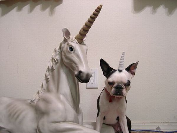 Daily picdump (134 pics)