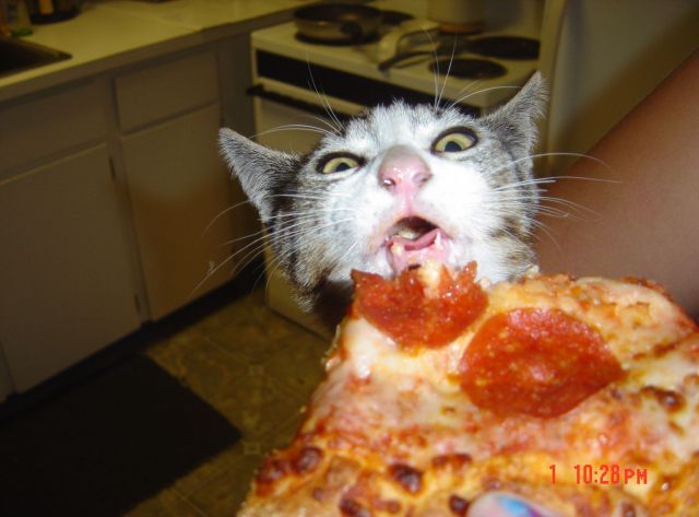 Daily picdump (134 pics)