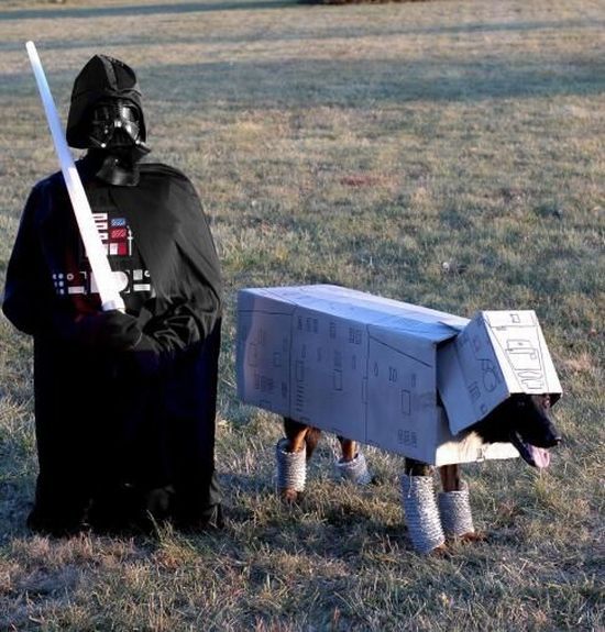 Daily picdump (137 pics)