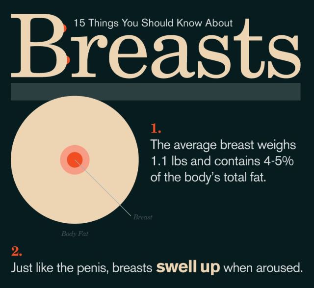 15 Things You Should Know About Breasts 15 Things You Should Know About Breasts