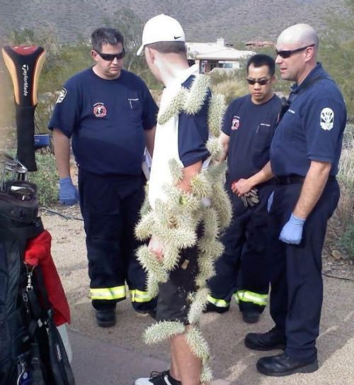Daily picdump (129 pics)