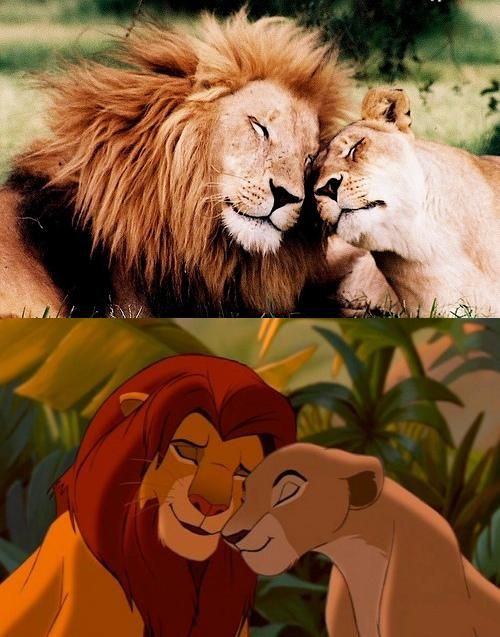 Daily picdump (146 pics)
