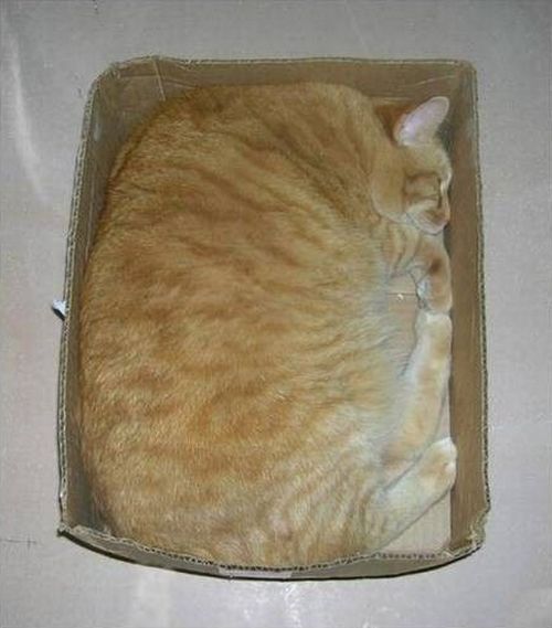 Daily picdump (146 pics)