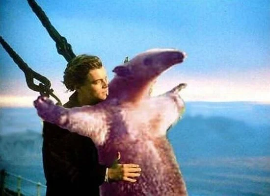 Daily picdump (142 pics)