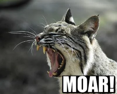 Selection of MOAR Faces (47 pics)