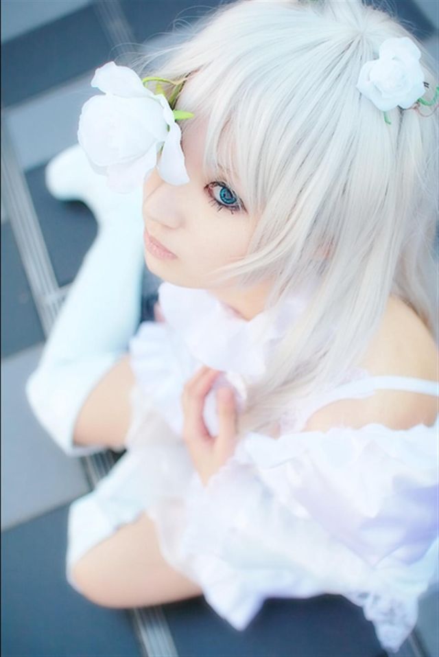 Really Cute Female Japanese Cosplayers (65 pics)