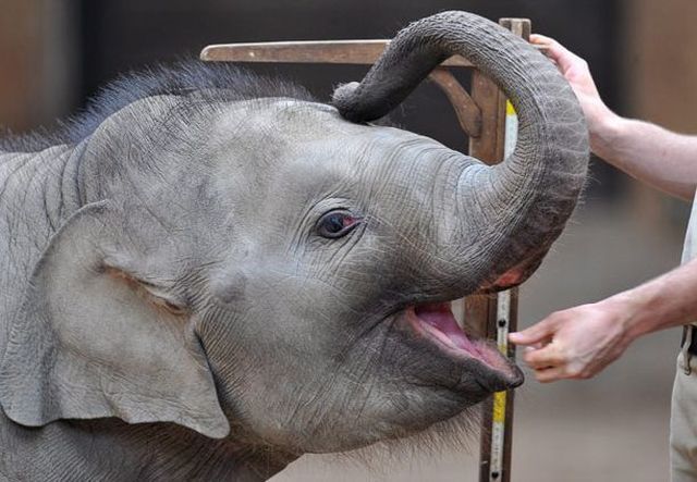 Daily picdump (154 pics)