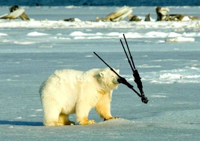 Daily picdump (154 pics)