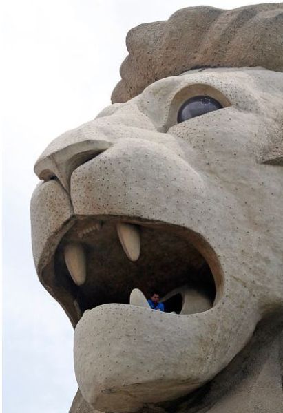 Daily picdump (154 pics)