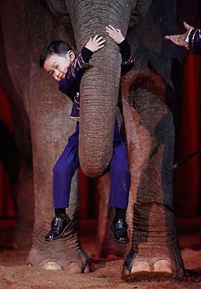 Daily picdump (154 pics)