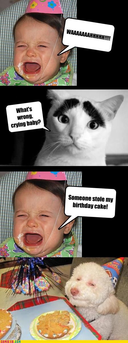 Daily picdump (154 pics)