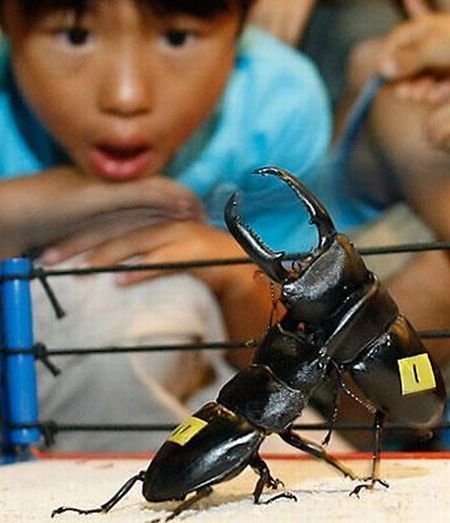 Daily picdump (154 pics)