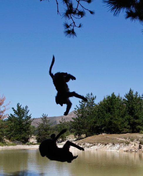 Daily picdump (154 pics)