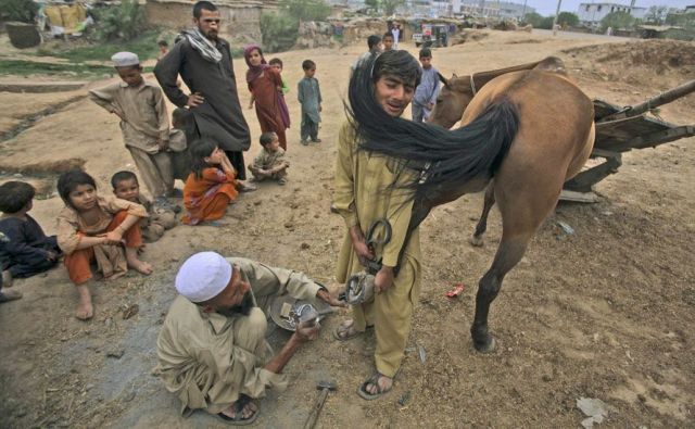 Daily picdump (154 pics)