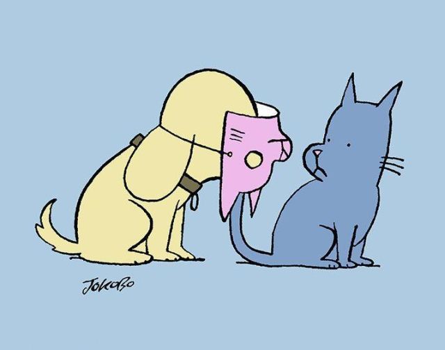 Daily picdump (154 pics)