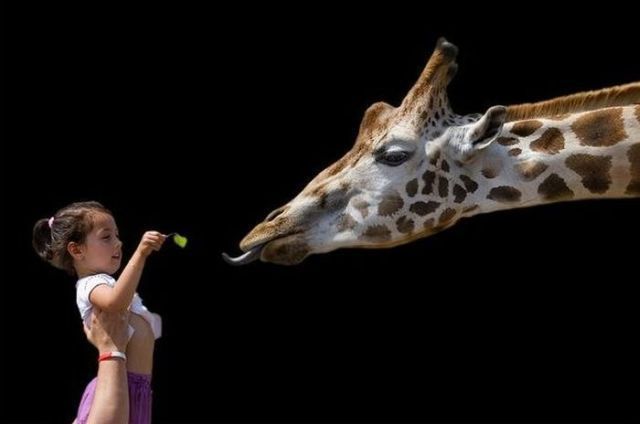 Daily picdump (154 pics)