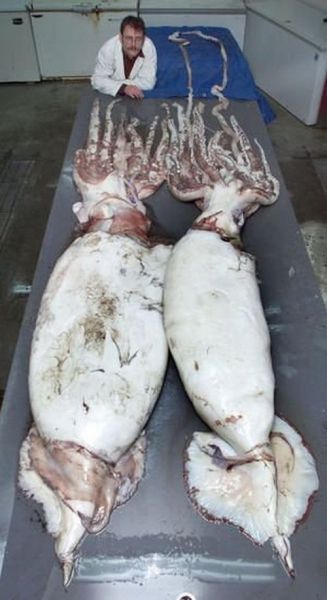 Daily picdump (154 pics)