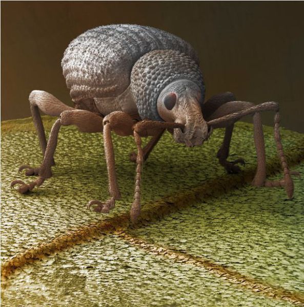 Daily picdump (154 pics)