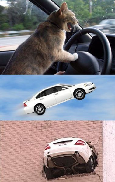 Daily picdump (127 pics)