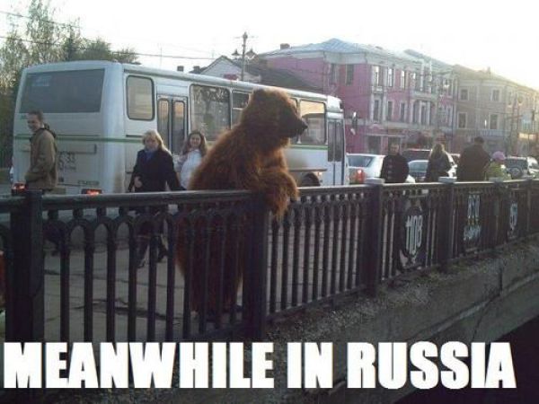 Daily picdump (127 pics)