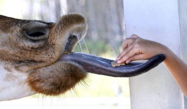Daily picdump (127 pics)