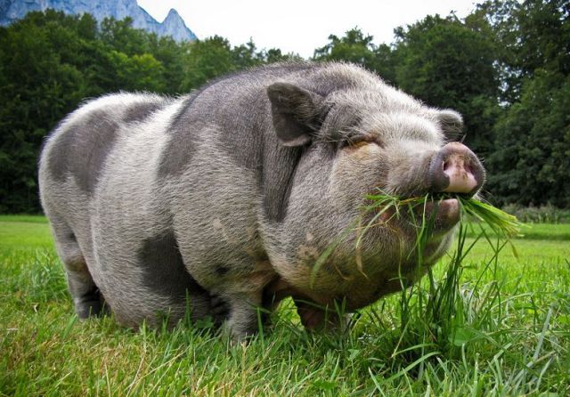 Daily picdump (127 pics)