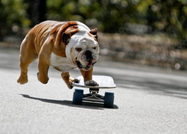 Daily picdump (127 pics)