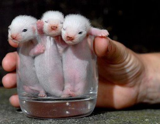 Daily picdump (127 pics)