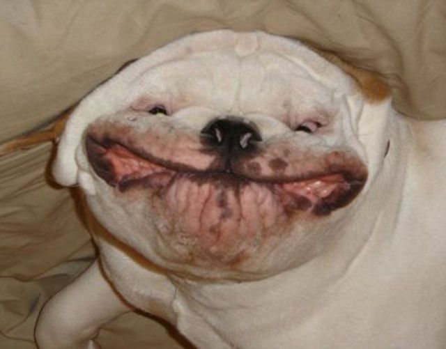 Daily picdump (133 pics)