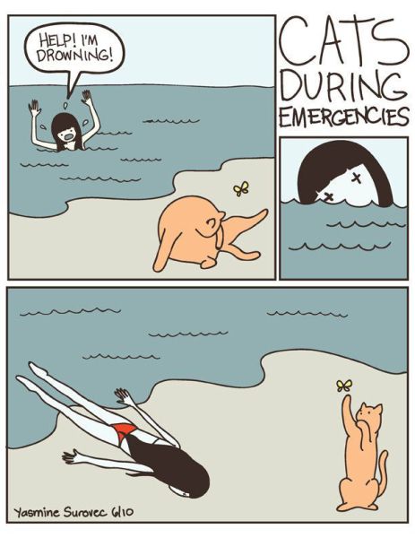 Daily picdump (128 pics)