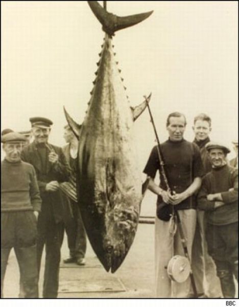 Fisherman&rsquo;s Dream (31 pics)