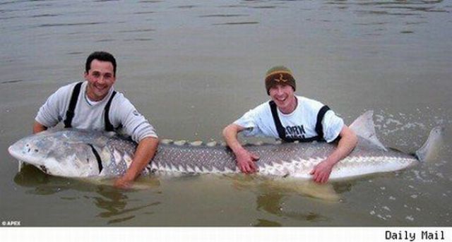 Fisherman&rsquo;s Dream (31 pics)
