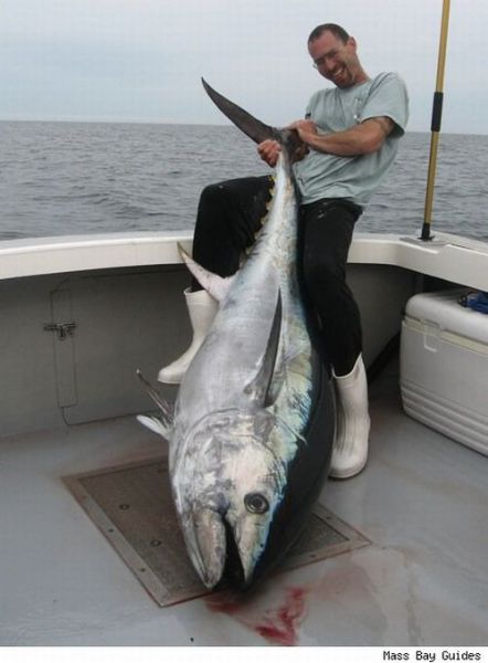 Fisherman&rsquo;s Dream (31 pics)