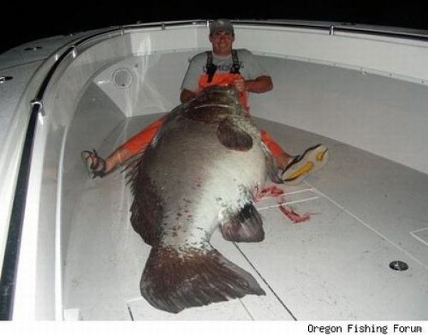Fisherman&rsquo;s Dream (31 pics)