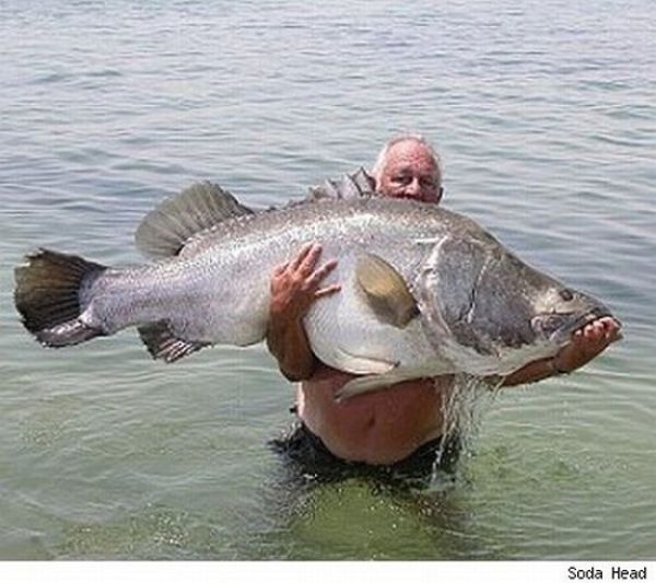 Fisherman&rsquo;s Dream (31 pics)