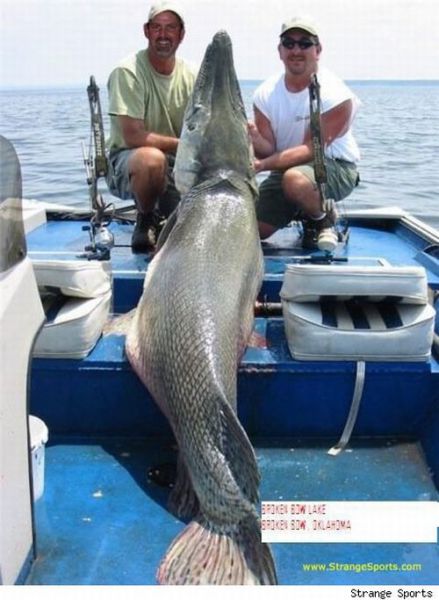 Fisherman&rsquo;s Dream (31 pics)