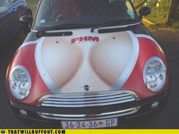 Cars in Hilarious and Weird Situations (83 pics)