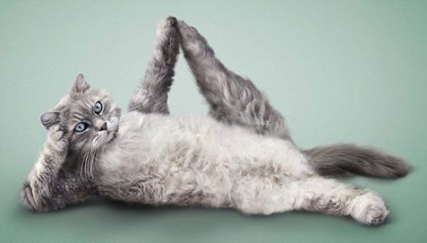 Daily picdump (124 pics)