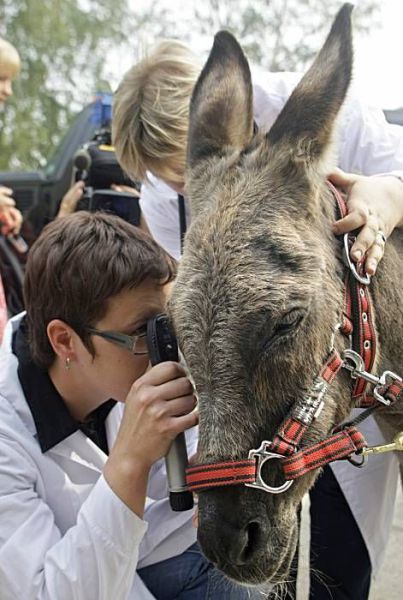 Daily picdump (124 pics)