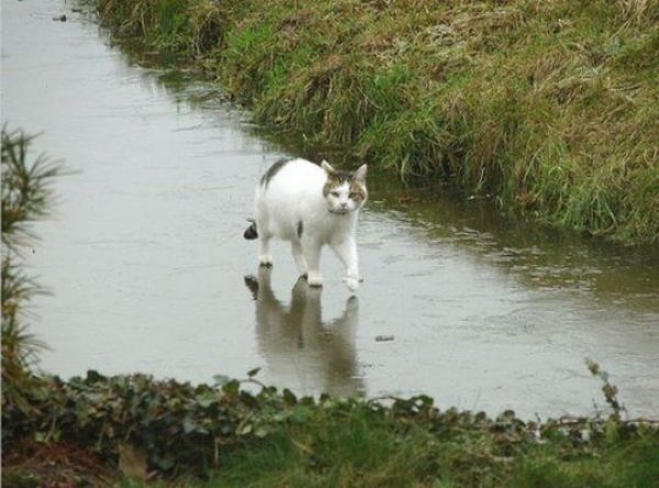 Daily picdump (146 pics)