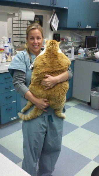 Daily picdump (146 pics)