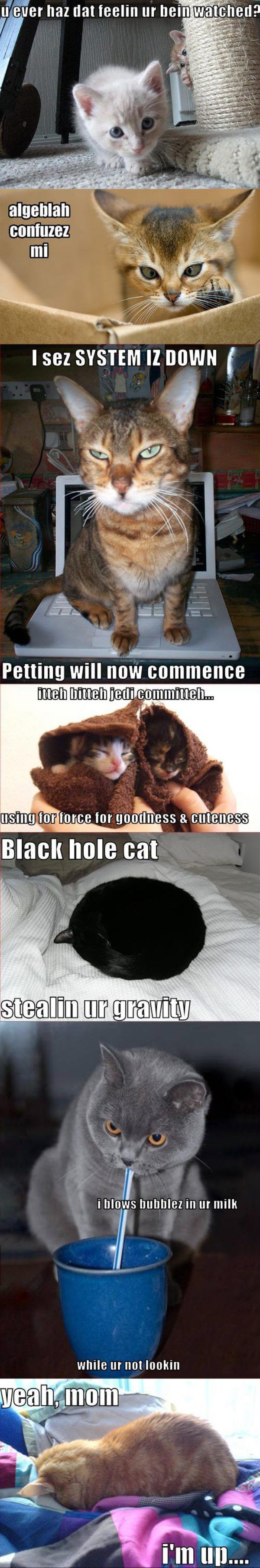 Daily picdump (146 pics)