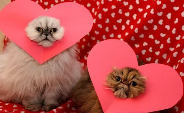 Daily picdump (158 pics)