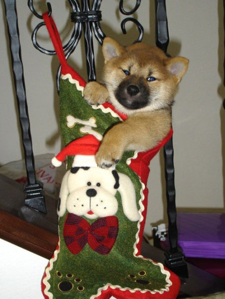 Daily picdump (111 pics)