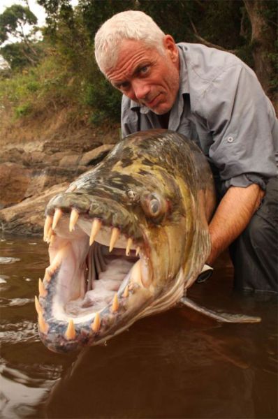Daily picdump (111 pics)