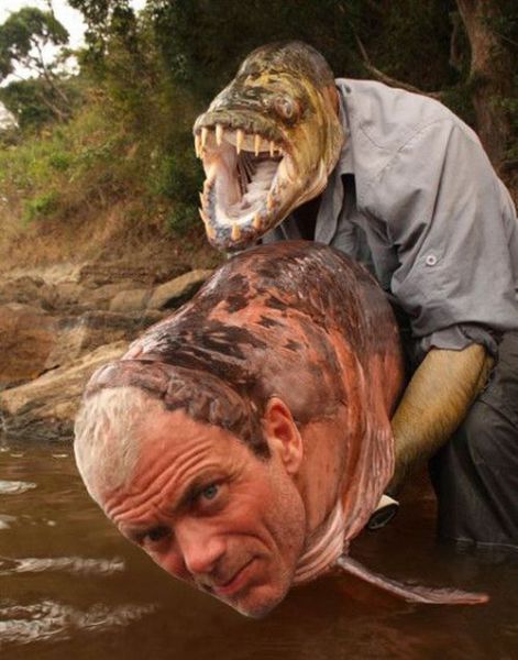 Daily picdump (111 pics)
