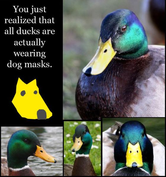Daily picdump (111 pics)