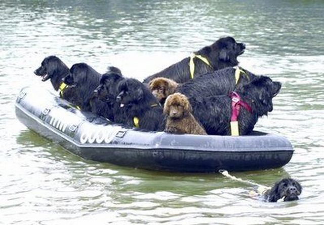 Daily picdump (111 pics)