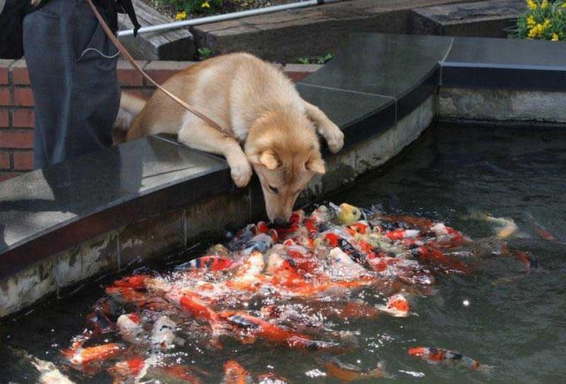 Daily picdump
