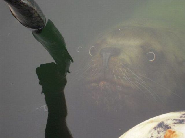 Daily picdump